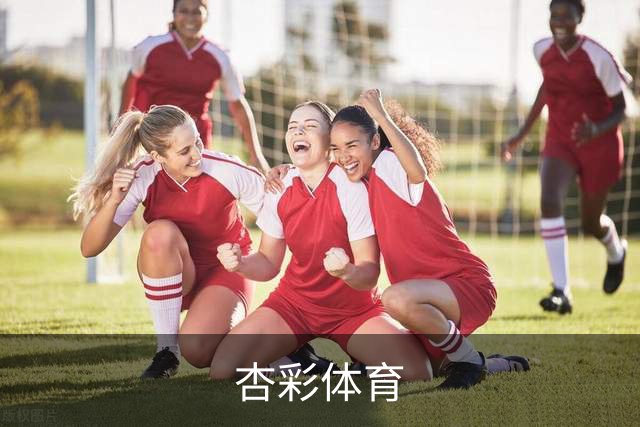 杏彩体育公司简介
